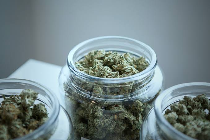 White Widow