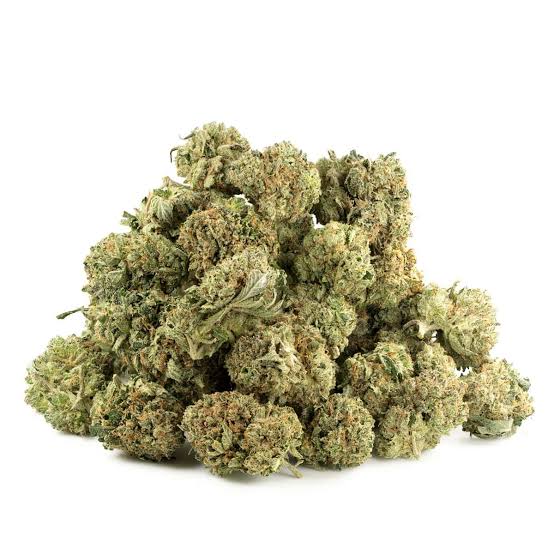Master Kush