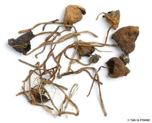 Psilocybin (magic mushrooms